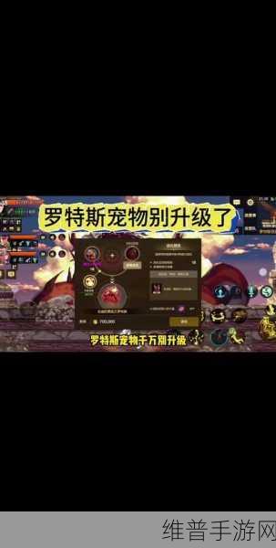DNF狂战士新宠推荐,树精宠物全面解析