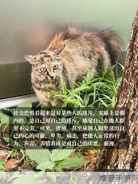 听到别人做那事的声音晦气吗:1. 听到他人声音的影响:心理与情感解析