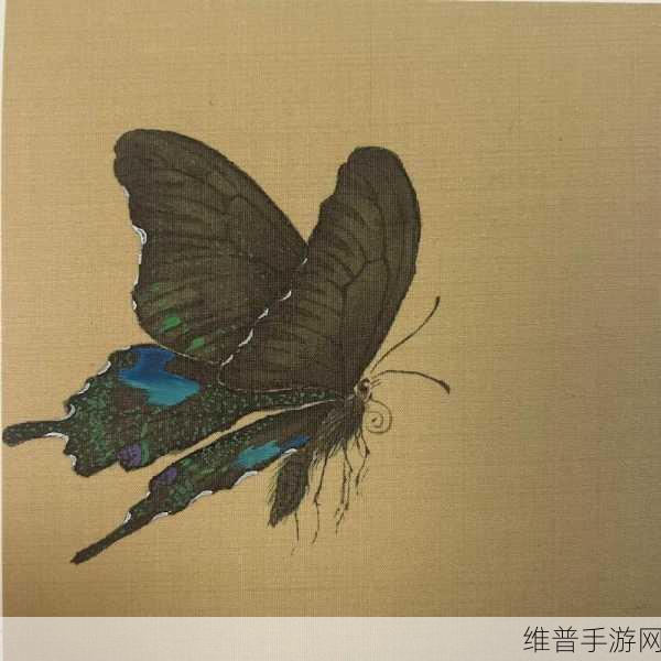 女生稀有的蝴蝶比的特征：1. 稀有蝴蝶比：展现女性独特魅力的象征