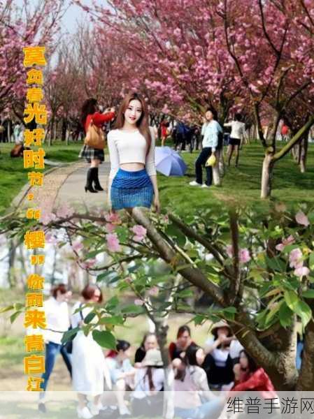 请用你的手打扰我樱花：当然可以！以下是关于“请用你的手打扰我樱花”的一些新标题建议：