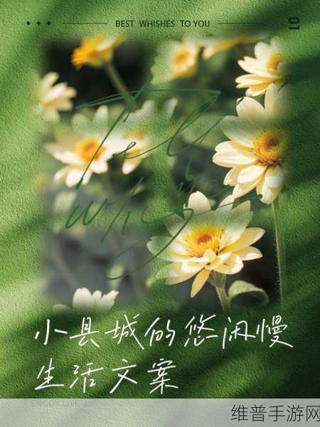 她开始慢迎迎合逍遥人生：1. 从慢生活到逍遥人生：她的心灵之旅