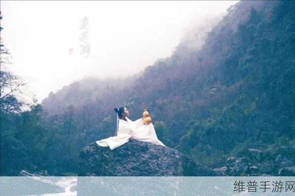 她开始慢迎迎合逍遥人生：1. 从慢生活到逍遥人生：她的心灵之旅