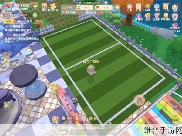 摩尔庄园足球场搭建与布置全攻略