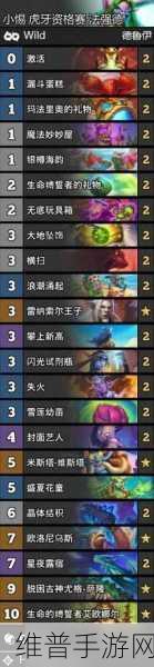 炉石传说Tyler青海萨卡组深度解析与推荐