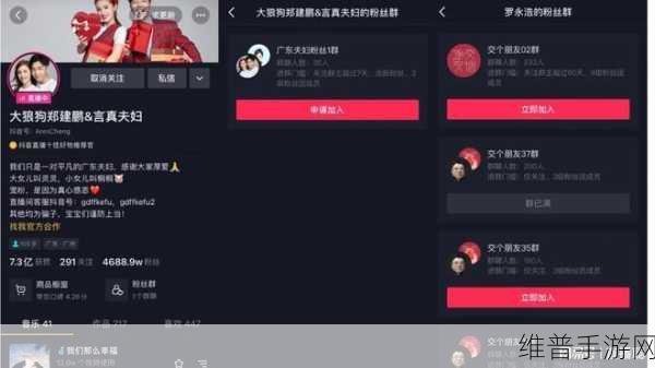 抖音手游攻略,如何高效创建粉丝群聊