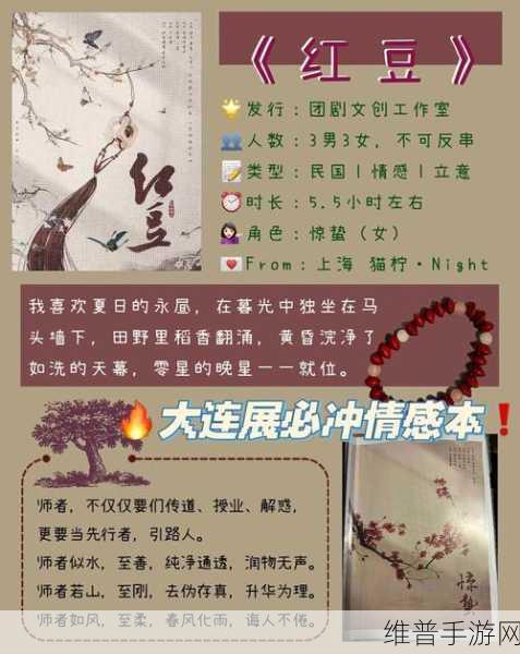 红豆影视传媒有限公司：1. 《红豆影视：打造新一代视听盛宴