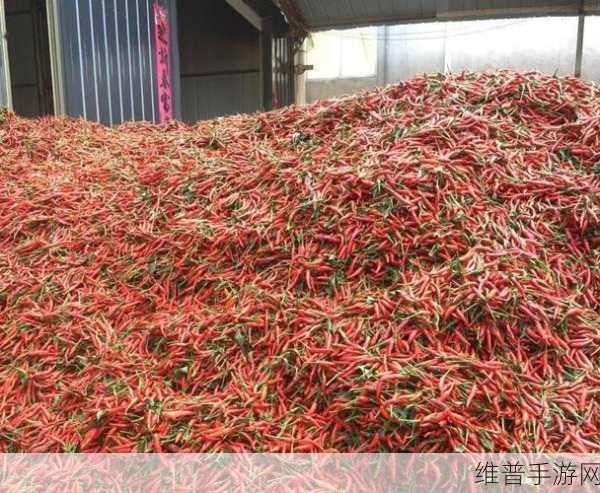 成品大香伊煮和小辣椒的用途：1. 大香伊煮与小辣椒的完美搭配