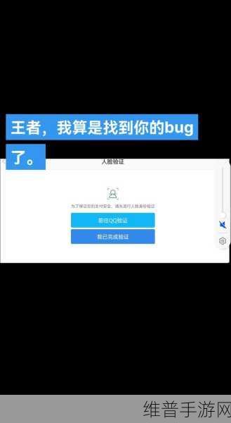 王者荣耀人脸识别认证全攻略，保障账号安全与未成年人保护