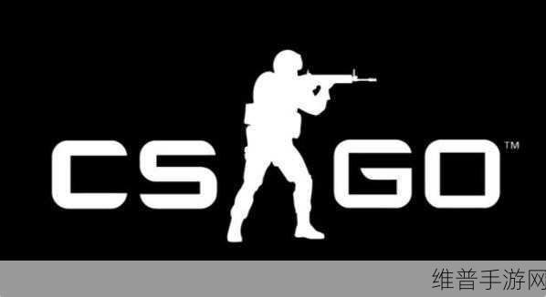 暴躁老阿姨CSGO攻略：1. 暴躁老阿姨教你玩转CSGO：从菜鸟到高手的秘籍