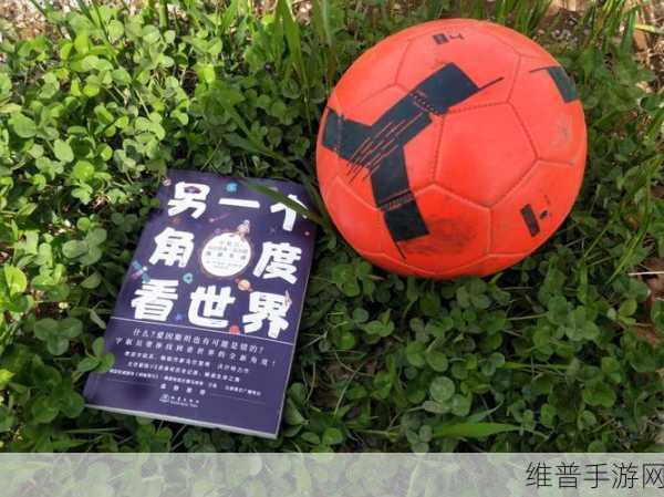 低头看我们结交处：1. 低头看世界，我们的交友新视角