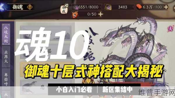 阴阳师全新副本御灵秘境曝光，探索未知挑战极限
