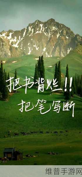 yn荡校园运动会最火的一句：“扬帆起航，青春无畏，荡出无限可能！”