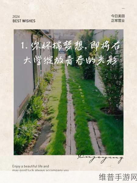 焕发青春光彩：1. 焕发青春光彩，绽放人生新篇章