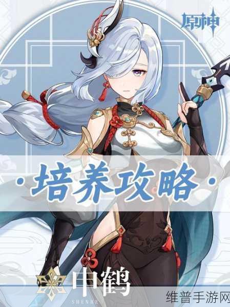原神攻略,高效策略助你120秒内击败公义