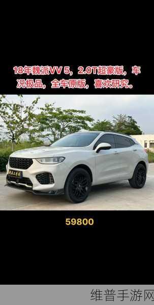 weyvv5国产的suv深度评测：1. 《深度解析Wey VV5：国产SUV的性能与科技对比