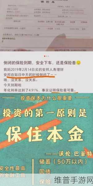 成品人和精品人的投资价值：1. 成品人与精品人：投资价值的深度解析