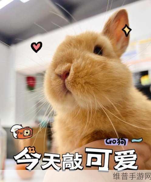男生摸和咬小兔兔：1. 男生与小兔兔的亲密互动：摸与咬的乐趣