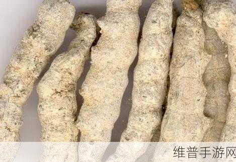 翁止熄痒婉燕：1. 揭秘止熄痒的疗法与技巧