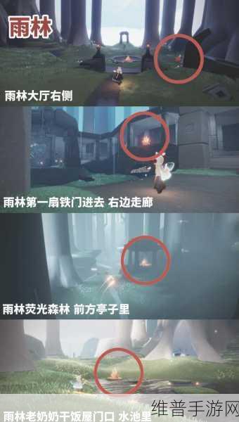 光遇雨林神秘山洞位置全解析