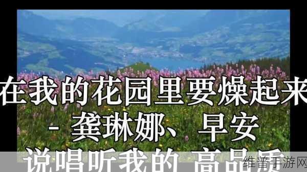 《在我的花园里要燥起来》歌词全解析：根据《在我的花园里要燥起来》歌词的主题和情感，可以拓展出以下几个新