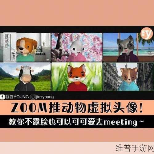 Zoom与动物Zoom：1. Zoom中探寻动物世界的奇妙之旅