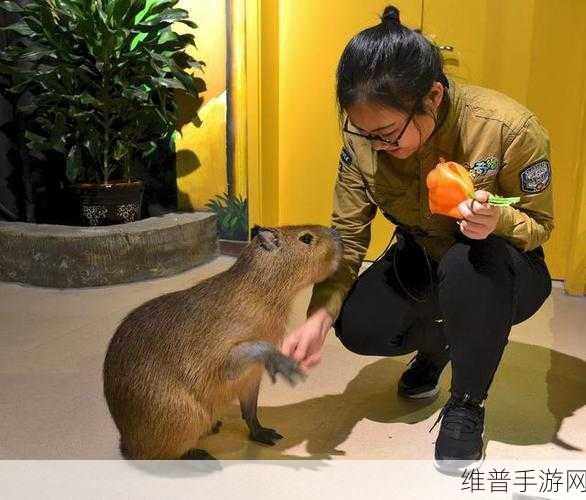 Zoom与动物Zoom:1. Zoom中探寻动物世界的奇妙之旅