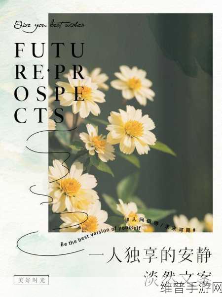 适合一个人看的电视再次卷土重来:1. 一人独享的视觉盛宴:适合个人观看的精彩电视节目