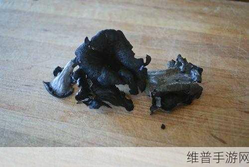 又大又黑又长的蘑菇头：1. 蘑菇头的奇妙世界：探索黑色巨型珍品
