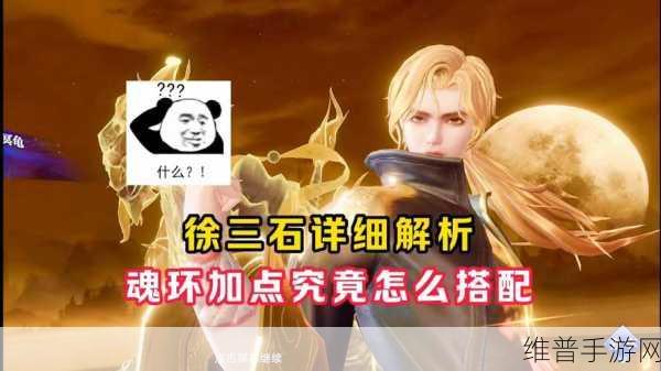 魂师对决破甲队戴沐白魂环搭配:魂师对决:戴沐白破甲队最优魂环搭配解析