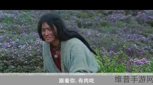 日韩无人区一码二码三码四码没有次数限制：1. 日韩无人区无限制玩法全解析