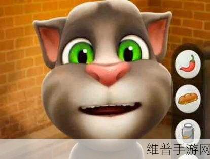 汤姆视频的最新网名:当然可以,以下是基于“汤姆视频”的一些新标题建议: