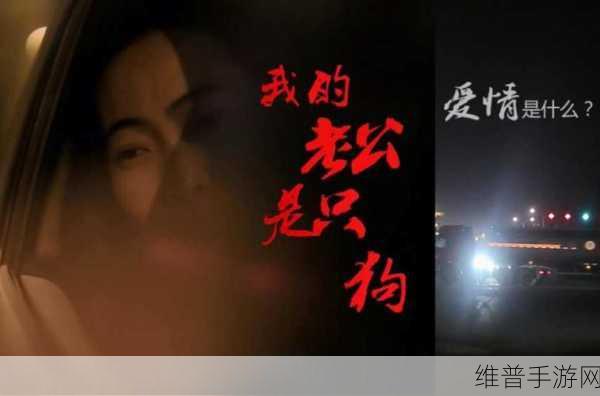 我的老公是条狗白珍丽山本一郎：1. 《我的老公是条狗：一段奇异的爱情故事
