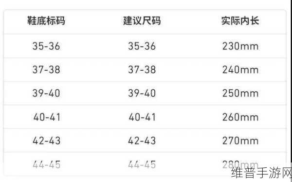欧洲尺码日本尺码专线是一批全新黑马：解析欧洲尺码与日本尺码的完美衔接之道