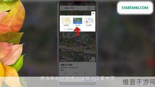 高德地图手游攻略，如何轻松查看街景全景
