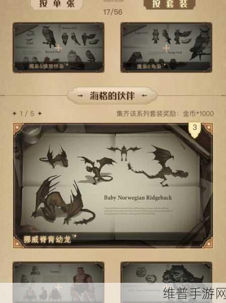 哈利波特魔法觉醒，揭秘万能卡的终极用法