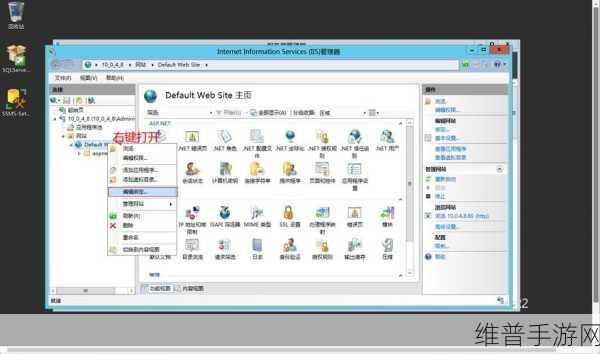 另类极品VPSWINDOWS：1. 高性能另类极品VPS Windows，畅享无忧服务器体验