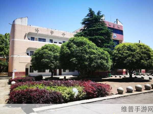 好喜欢你呐校园情感新解:1. 《在校园里追寻爱的足迹