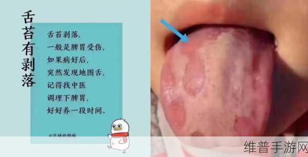 40岁男人舌头很厉害:1. 40岁男性舌头的魅力与智慧
