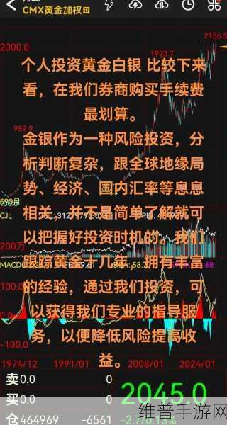 黄金网站app在线观看大全：1. 探索黄金投资的最新动态与趋势