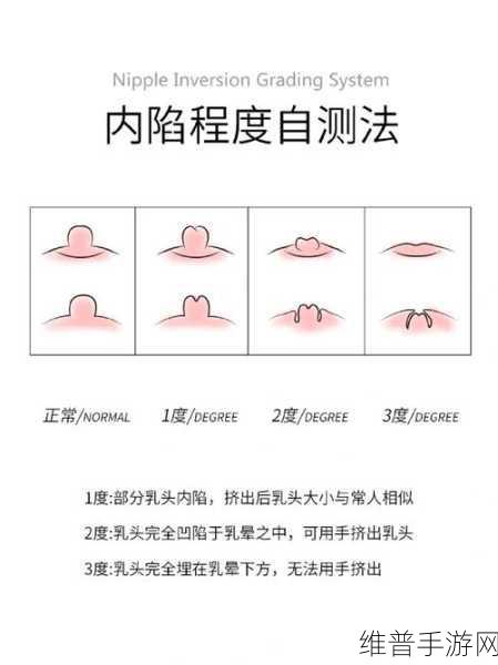 奶头好翘是不是想要了：1. 她的魅力：从翘挺乳头看内心渴望