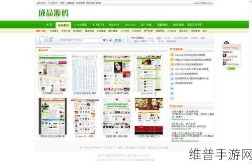 成品网站源码1688版本号和其他版本比：1. 深入解析1688成品网站源码版本号的独特优势