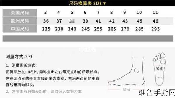 一码二码和欧洲尺码的区别：一码二码与欧洲尺码的区别详解：如何选择适合自己的鞋码？