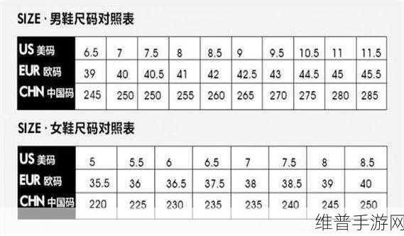 一码二码和欧洲尺码的区别：一码二码与欧洲尺码的区别详解：如何选择适合自己的鞋码？