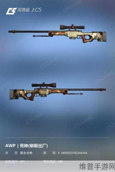 日本CSGO大姐姐AWP价格是多少：日本CSGO大姐姐AWP价格揭秘与市场分析