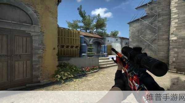 日本CSGO大姐姐AWP价格是多少：日本CSGO大姐姐AWP价格揭秘与市场分析