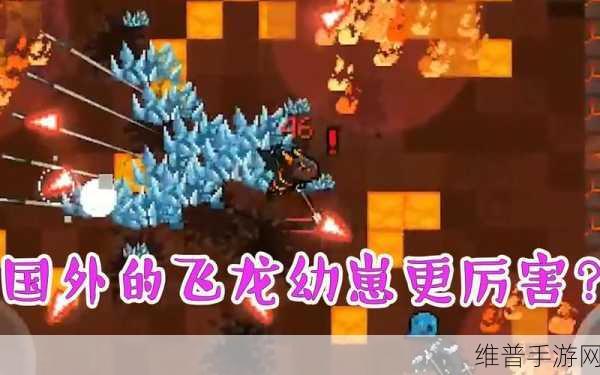 元气骑士，解锁隐藏宠物飞龙的神秘兑换码大揭秘