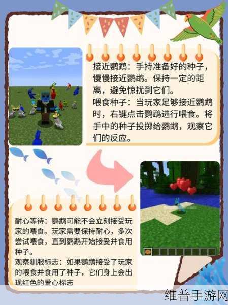 我的世界手游可驯服生物全攻略