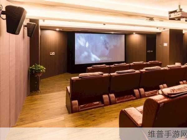 免费私人家庭影院：1. 打造私人影院：享受家庭观影的奢华体验