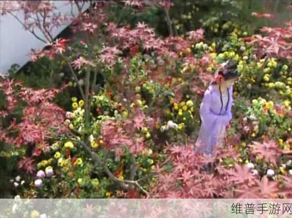 崔莺莺张生云雨经过:1. 崔莺莺与张生:雨中情深意长的爱情故事