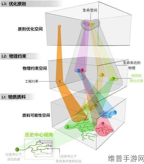 人与猪的DNA：人与猪的DNA相似性揭示生物进化新视角